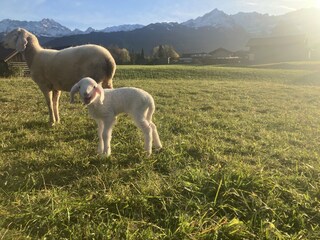 Ferienwohnung Garmisch-Partenkirchen Umgebung 13