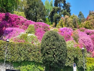 Casa per le vacanze San Siro Ambiente 38