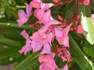 Casa de vacaciones Castellammare del Golfo Grabación al aire libre 3