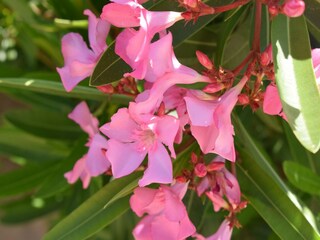 Vakantiehuis Castellammare del Golfo Buitenaudio-opname 3