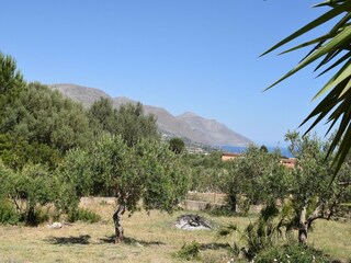Ferienhaus Castellammare del Golfo Umgebung 31
