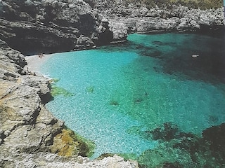 Casa de vacaciones Castellammare del Golfo Entorno 37