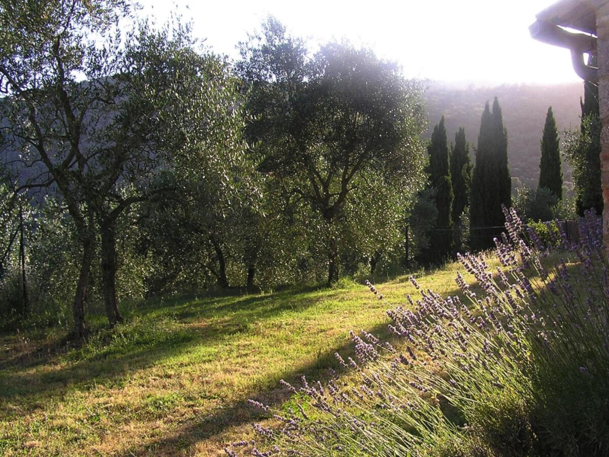 Ferienpark Sovicille Außenaufnahme 5