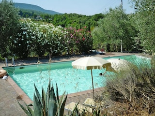 Vakantiepark Sovicille Buitenaudio-opname 11