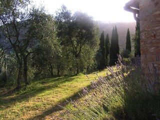 Vakantiepark Sovicille Buitenaudio-opname 17