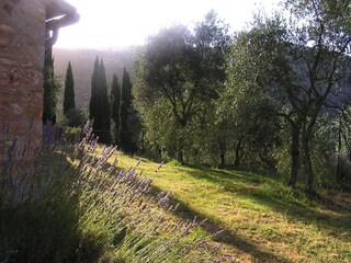 Vakantiepark Sovicille Buitenaudio-opname 13