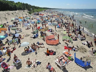 Appartement Misdroy Omgeving 12