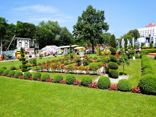 Appartement Misdroy Omgeving 42