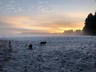 Apartment Neuhausen im Erzgebirge Environment 27