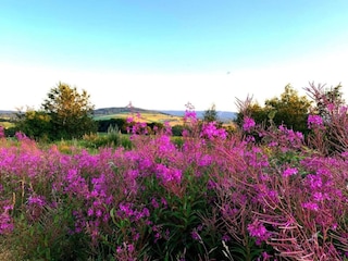 Apartment Neuhausen im Erzgebirge Umgebung 35