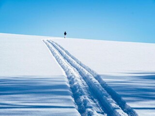 Apartment Neuhausen im Erzgebirge Umgebung 34