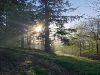 Appartamento Neuhausen im Erzgebirge Ambiente 30