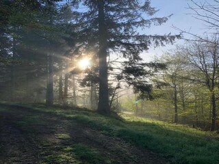 Appartamento Neuhausen im Erzgebirge Ambiente 32