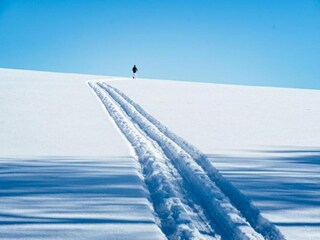 Appartement Neuhausen im Erzgebirge Environnement 31