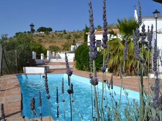 Holiday house Almogía Outdoor Recording 8