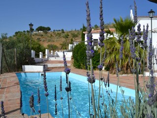 Holiday house Almogía Outdoor Recording 11