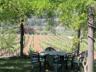 Type de propriété : Ferme Umbertide Enregistrement extérieur 13