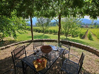 Farmhouse Umbertide Outdoor Recording 15