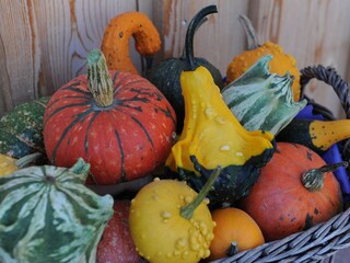 Der Herbst hat auch seine wunderschönen Seiten!