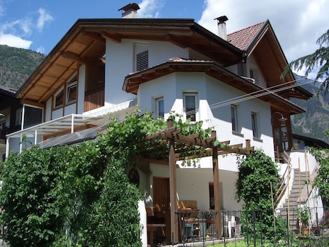 Ferienwohnung Pircher - Apfelblüte