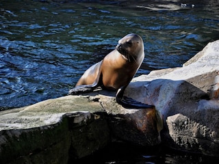 Ferienwohnung Duhnen Außenaufnahme 8