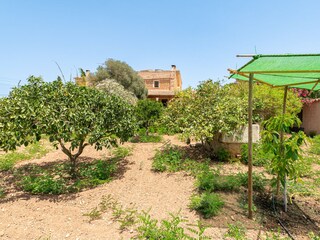 Casa per le vacanze Felanitx  30