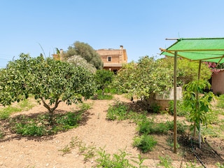 Holiday house Felanitx  30