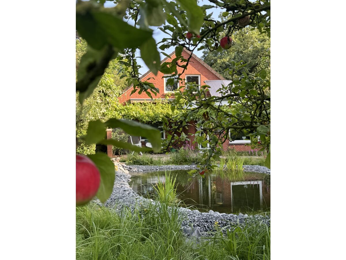 Casa de vacaciones Aurich Grabación al aire libre 1