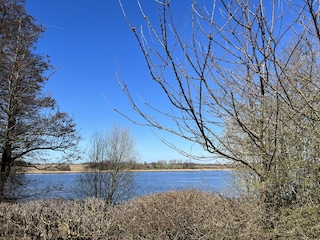 Die Schlei im Frühjahr