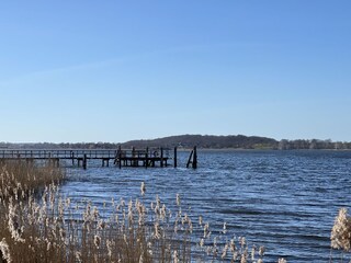 Die Schlei im Frühjahr