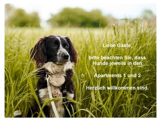 Hundehaltung im EG Apt. 1 und 2 möglich