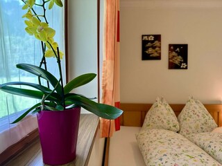 Appartamento Saalfelden Caratteristiche 29