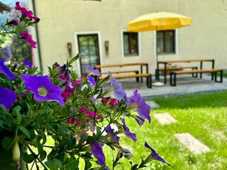 Appartamento Saalfelden  40