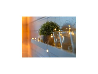 Vakantiehuis Dümmer (Mecklenburg)  40