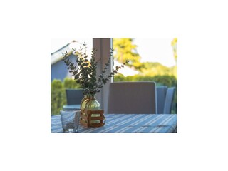 Casa de vacaciones Dümmer (Mecklenburg)  43