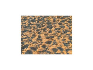 Casa de vacaciones Dümmer (Mecklenburg) Entorno 30