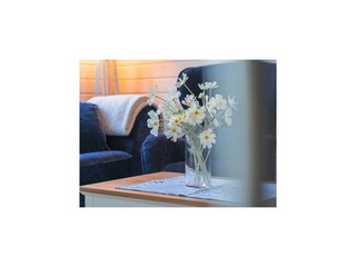 Ferienhaus Dümmer (Mecklenburg)  42