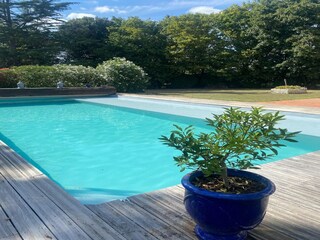 Vakantiehuis Chaillé-les-Marais Buitenaudio-opname 13
