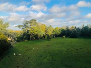 Ferienhaus Chaillé-les-Marais Umgebung 37