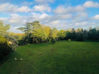 Maison de vacances Chaillé-les-Marais Environnement 33