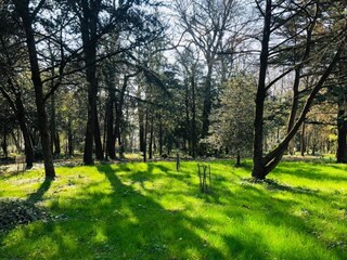 Holiday house Chaillé-les-Marais Environment 30