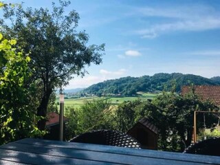 Maison de vacances Pišece Environnement 41