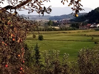 Ferienhaus Pišece Umgebung 30