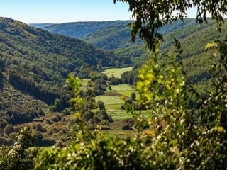 Vakantiehuis Pišece Omgeving 30