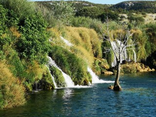Casa per le vacanze Pišece Ambiente 32