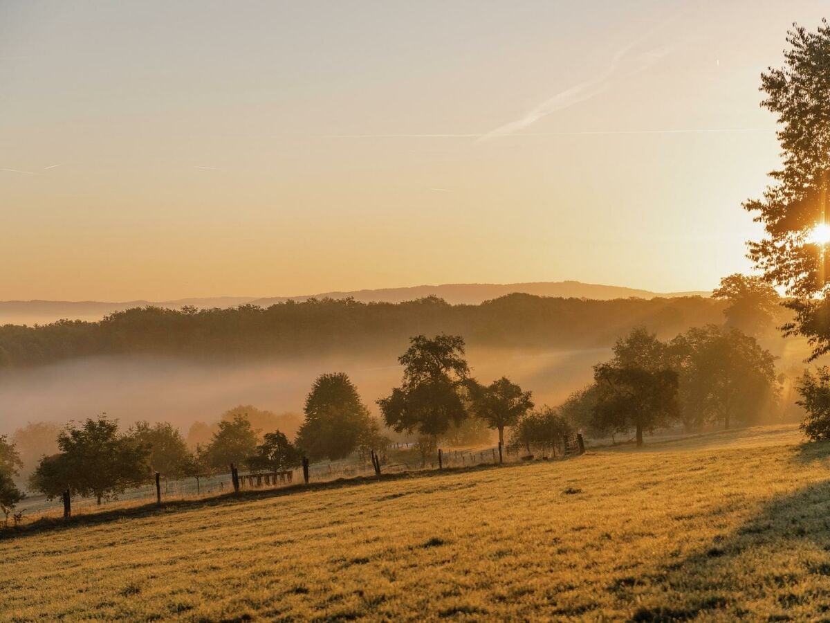 Morgennebel Hartenbergwiese-2160