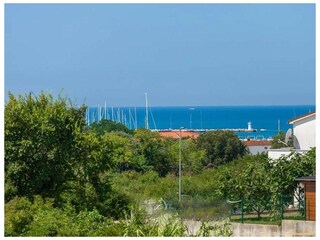 Ferienhaus Novigrad (Istrien) Außenaufnahme 10