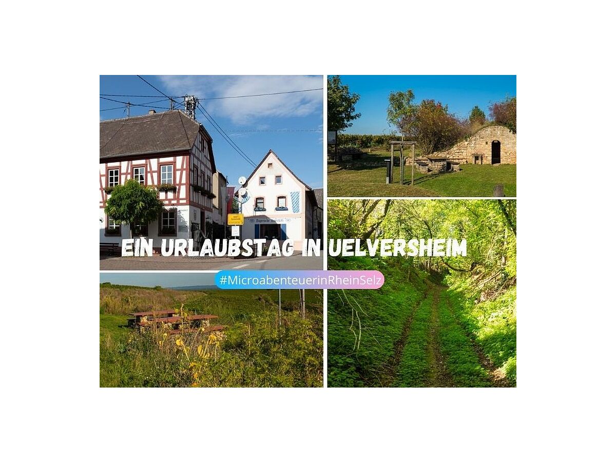 Uelversheim (von Rhein-Selz geht aus)