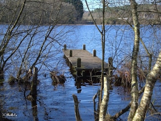 Bungalow Goldberg Environment 15