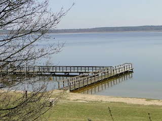 Bungalow Goldberg Environment 16